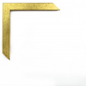 228/520 ORO LISO