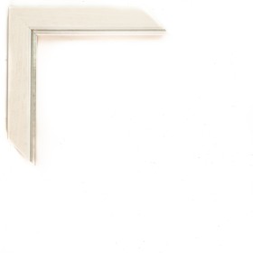200/5548 BLANCO LISO FILO PLATA