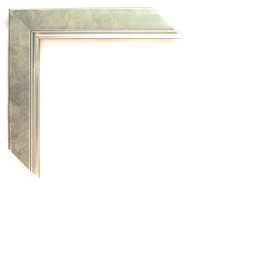 200/5549 PLATA LISO FILO PLATA