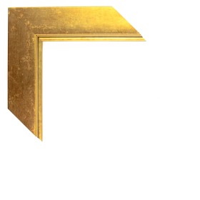 200/5557 ORO LISO FILO ORO