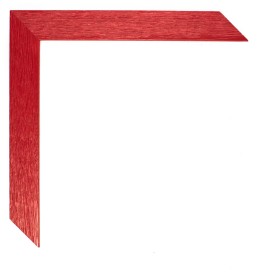310/032 ROJO RAYADO