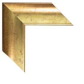 300/1310 ORO LISO