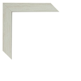 200/4477 PLANO BLANCO DECAPÉ