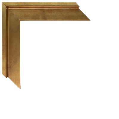 733/204 AMERIACANA ORO