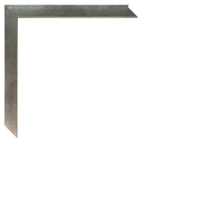717/213 PLATA LISO