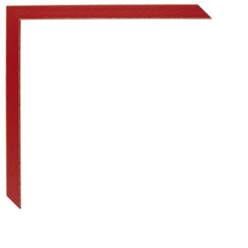 1061/532 ROJO LISO