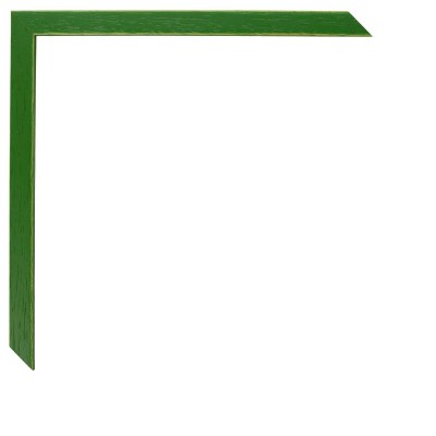 1061/535 VERDE LISO