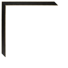 1061/526 NEGRO LISO